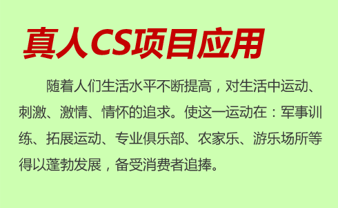 真人CS項目應用 